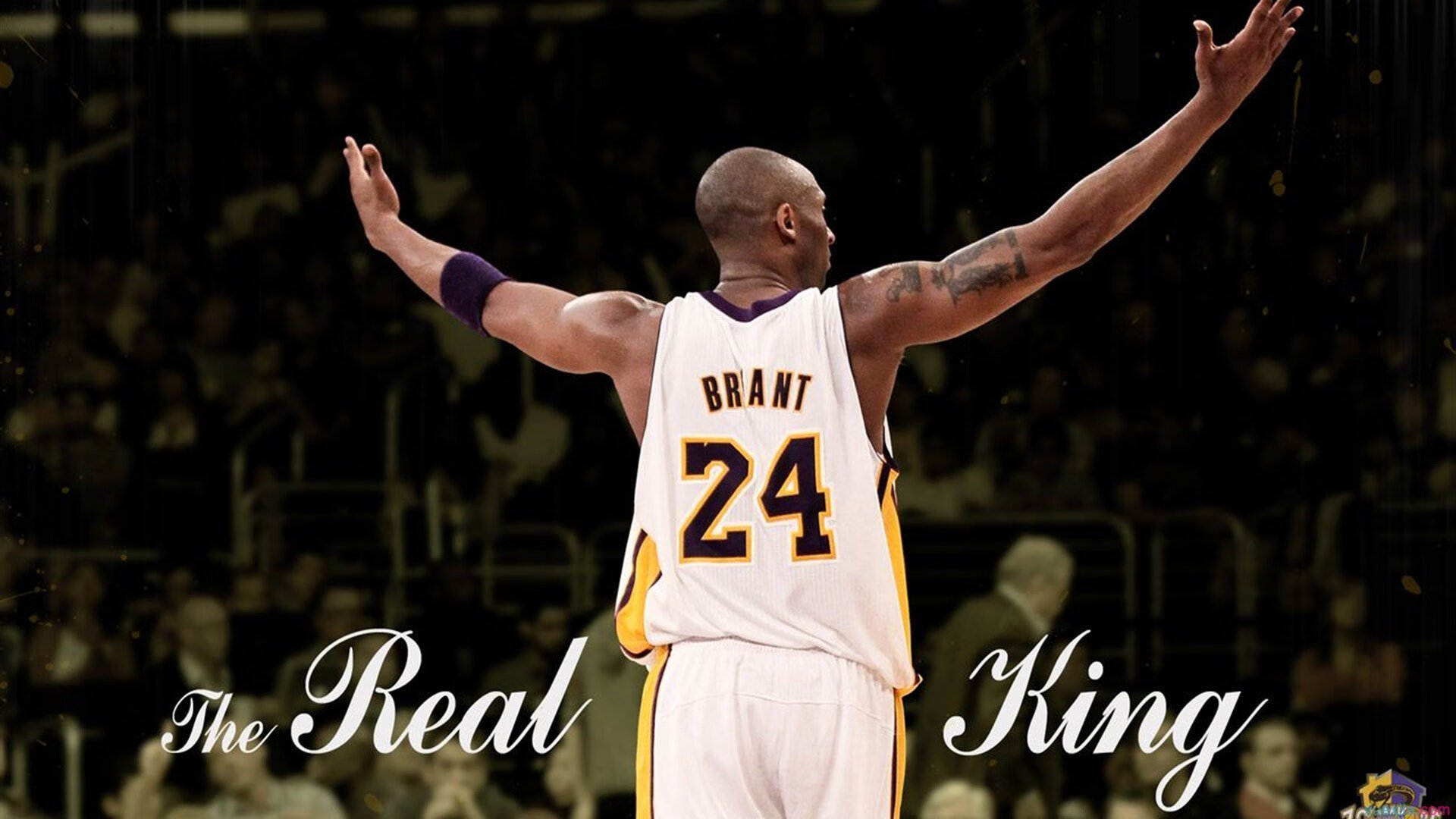 灰熊狂潮席卷山西，莫兰特西决生死战封神，当个人英雄主义与团队荣耀交汇