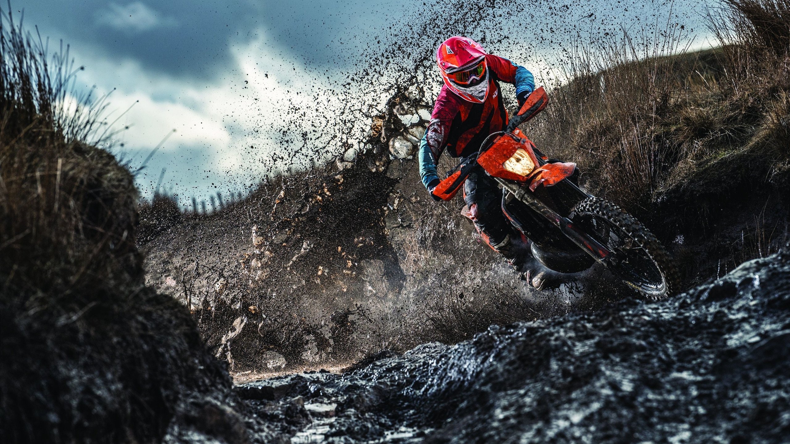 赛道上的艺术，阿隆索领衔法拉利轻取索伯车队